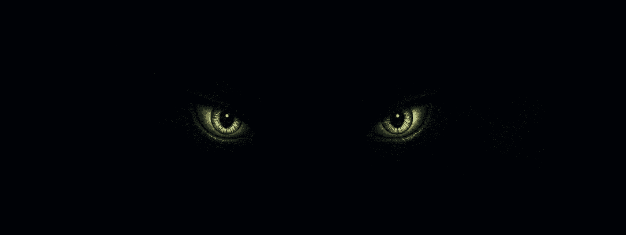 Guardian eyes watching from the dark